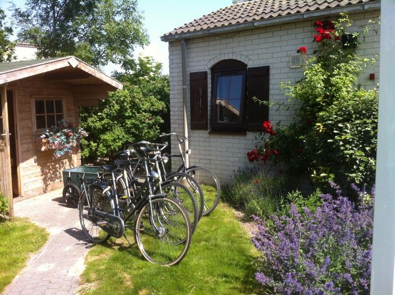 Guest house 010153 - Bungalow Texel - Heerlijk vakantiehuis