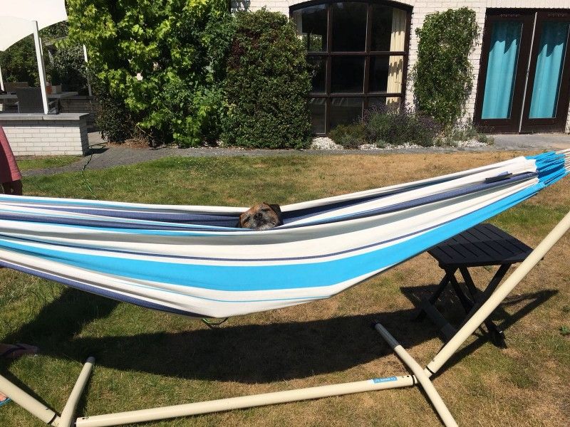 Guest house 010153 - Bungalow Texel - Heerlijk vakantiehuis