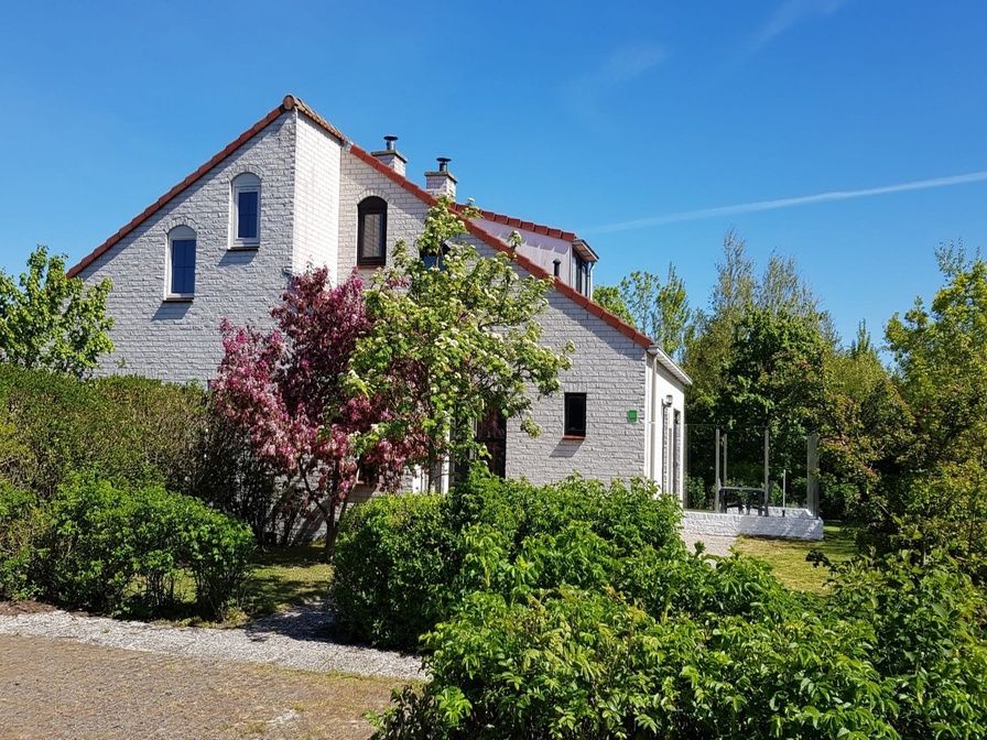 Ferienhaus D 657 in De Cocksdorp, Texel, umgeben von ueppiger Natur und bluehenden Straeuchern, ideal fuer einen erholsamen Aufenthalt auf den Watteninseln.