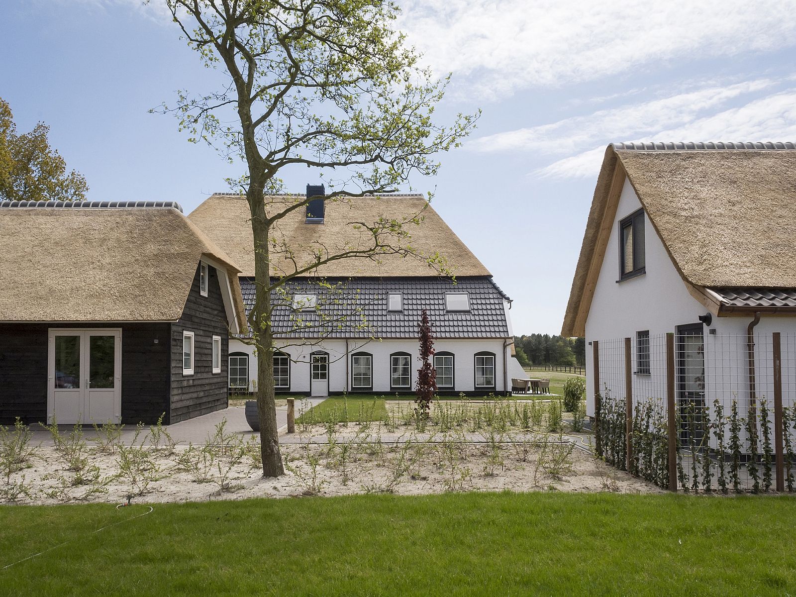 Unterkunft 0101742 - Bungalow Texel - Bouwlust E23