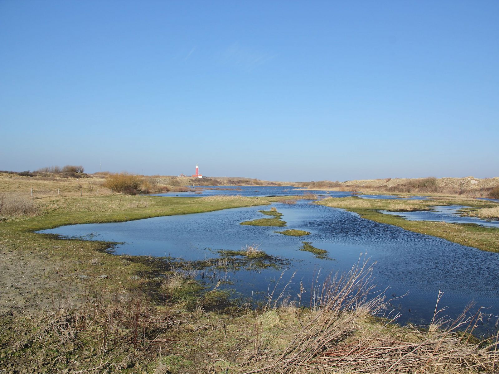 Unterkunft 0101750 - Appartement Texel - Stoeterij C65