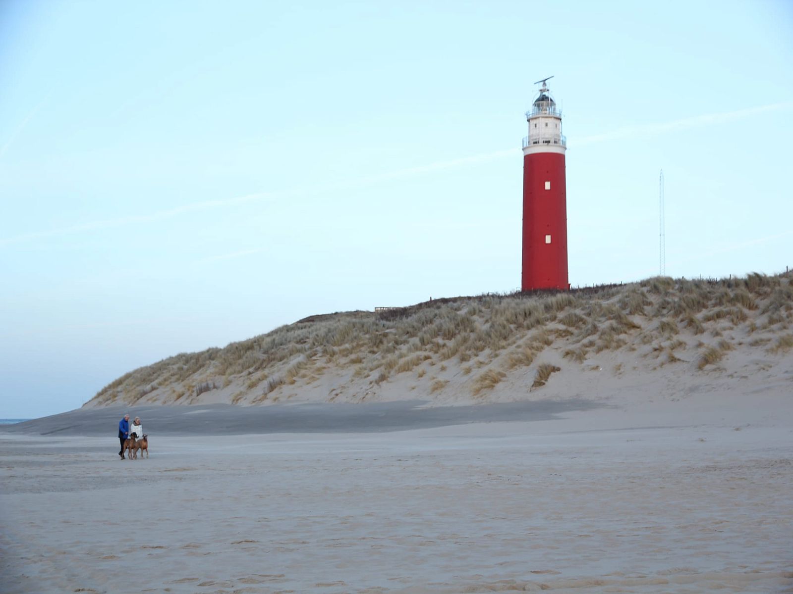 Unterkunft 0101750 - Appartement Texel - Stoeterij C65
