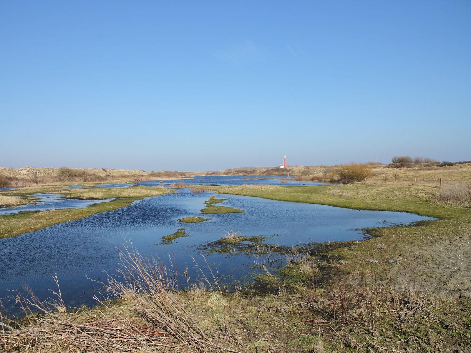 Unterkunft 0101750 - Appartement Texel - Stoeterij C65