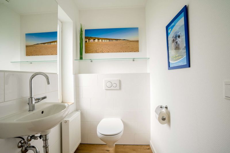 Guest house 0102159 - Holiday property Texel - Orchismient 14