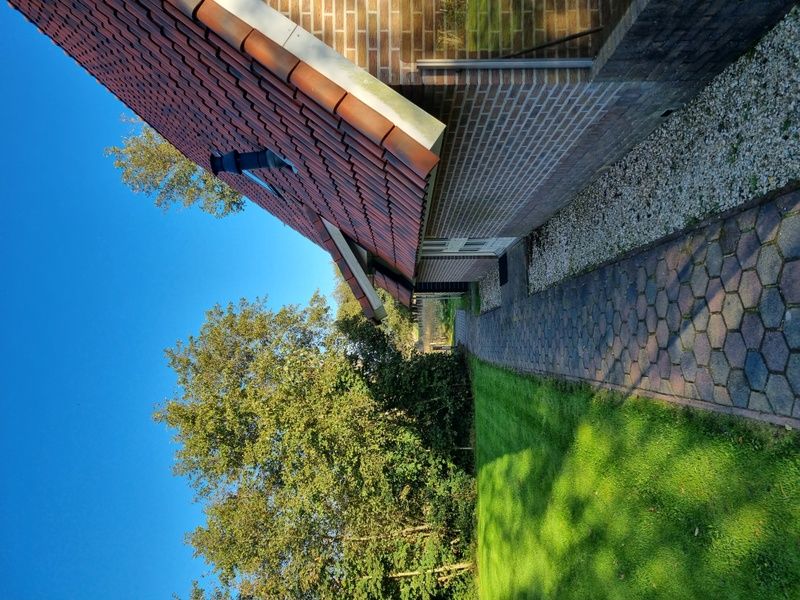 Pad naar Agter Mienterglop - Vakantiehuis 5102 in De Koog, Texel, omgeven door groene natuur.