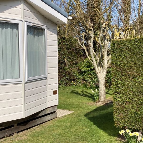 Der Campingplatz Coogherveld - Chalet Jori in De Koog, Texel, bietet eine ruhige Gartenanlage mit gruenen Hecken und Baeumen, ideal fuer Naturliebhaber.