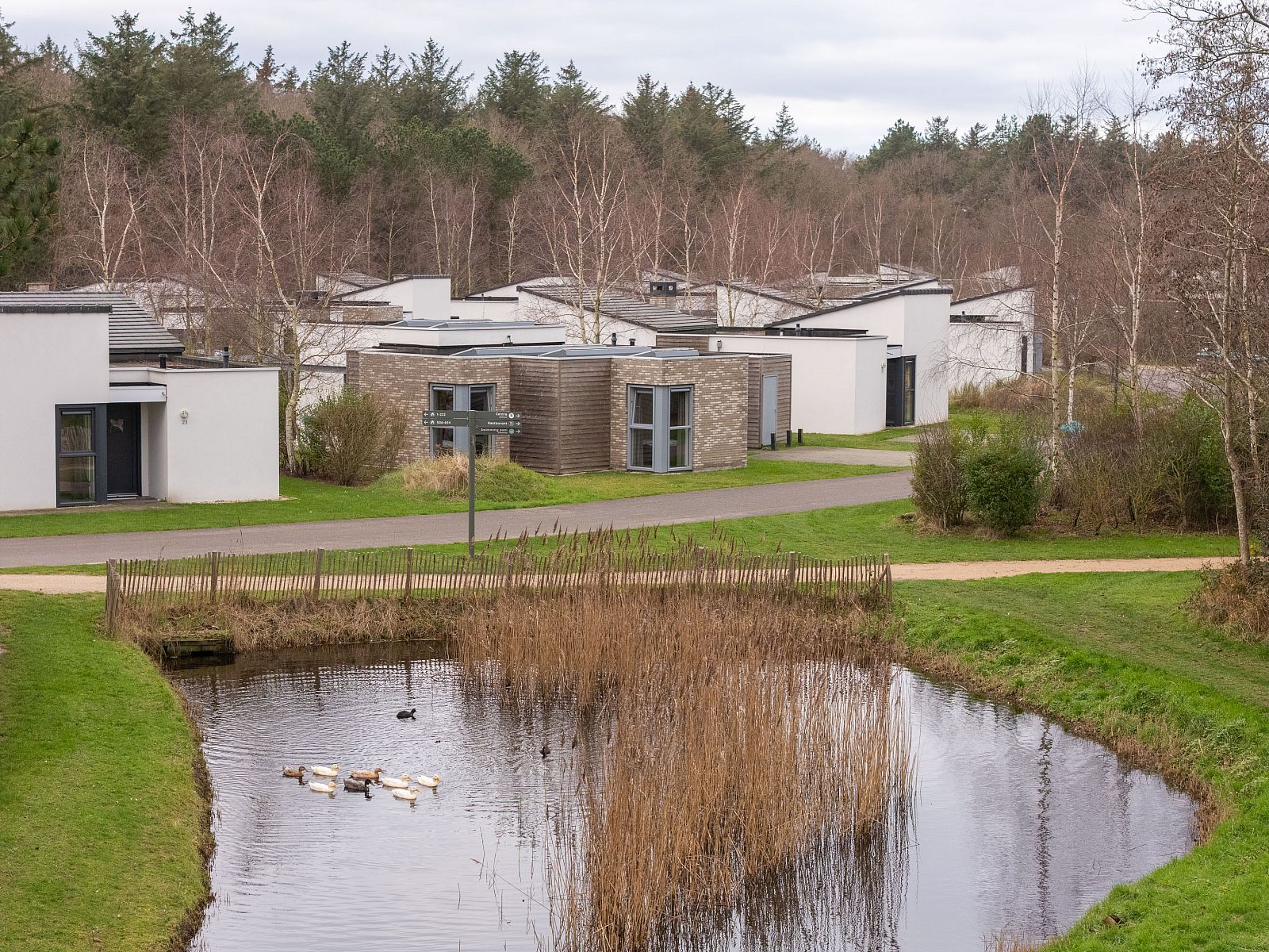 Freistehendes Haus in De Koog, Texel, bietet ruhige Natur und moderne Ferienhuser inmitten einer idyllischen Wasserlandschaft auf den Watteninseln.