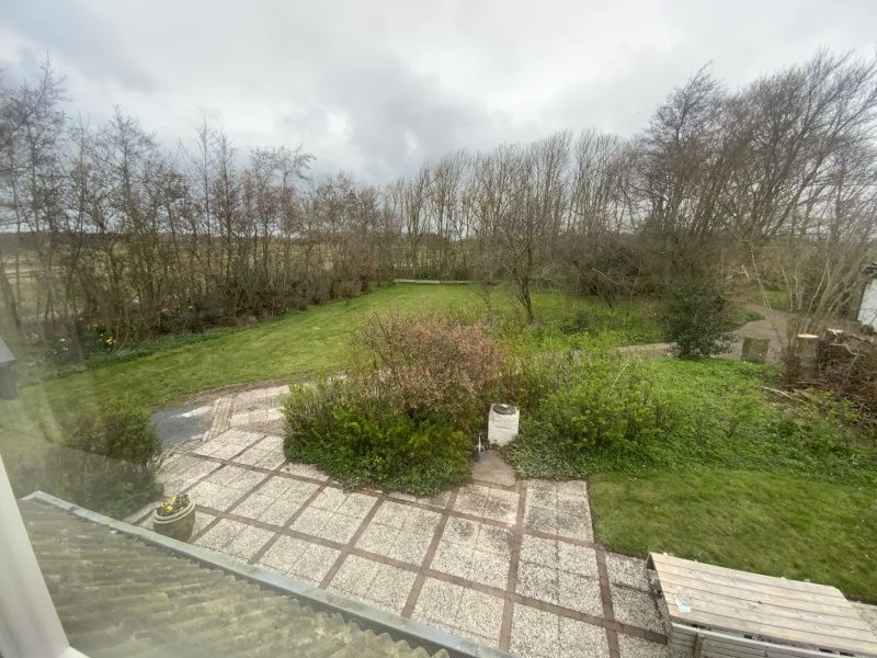 Uitzicht op groene tuin vanuit vakantiehuis Achterhuis, De Koog, Texel.