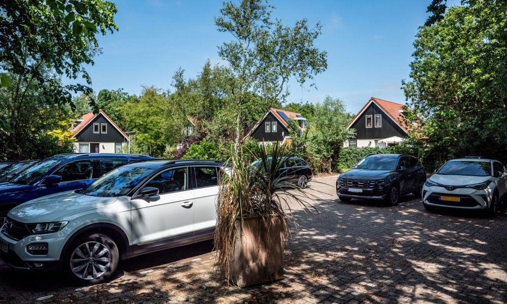 Verblijf 01022566 - Vakantiewoning Texel - Koetshuis