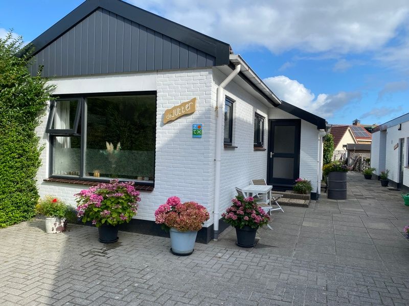 Aussenbereich des Ferienhauses Jutter, De Koog, Texel mit bunten Pflanzen.