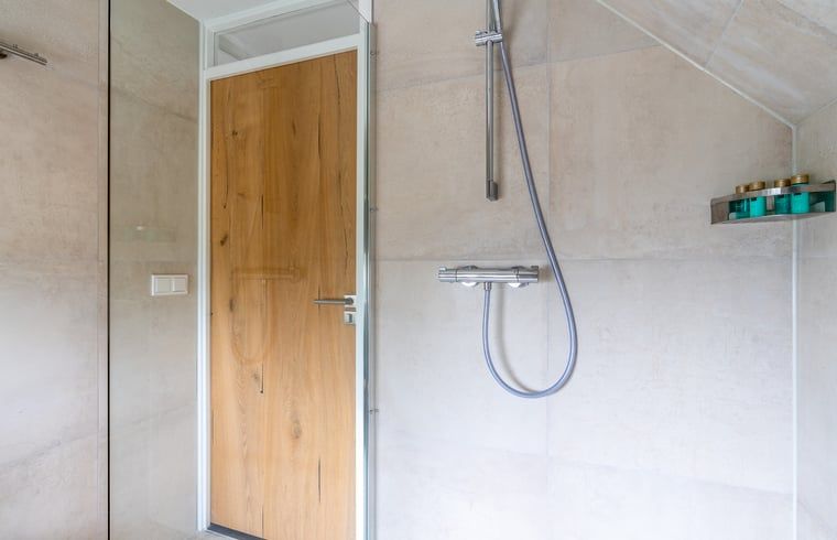 Stijlvolle douche in Huisje in De Koog, Texel, met houten deur en moderne afwerking.