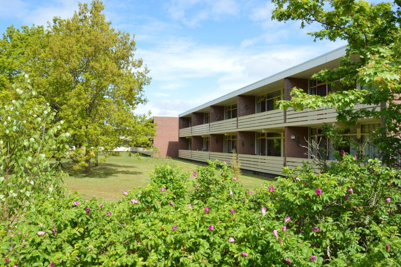 Buitenaanzicht van Appartement Kerckeland 24, De Koog, Texel omgeven door groen en bloeiende planten.
