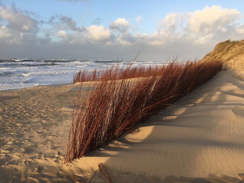 Strandhuisjes bij Stappeland - De Groene Boei, vakantiehuis op Texel, perfect voor een dag aan zee.