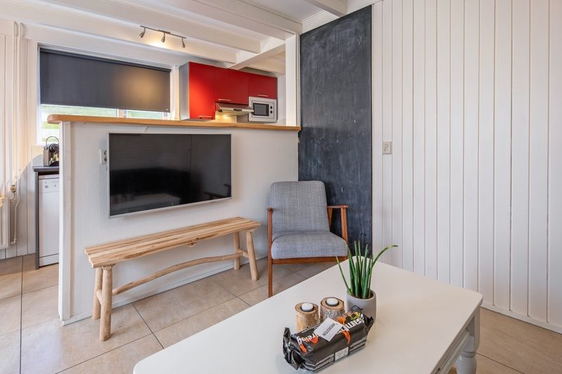 Moderne zithoek in 32b Pollux, vakantiehuis in De Koog, Texel met flatscreen-tv en gezellige sfeer.