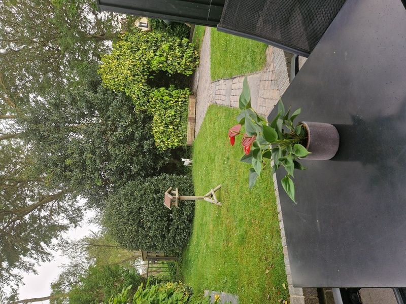 Uitzicht vanaf het terras van vakantiehuis Zeelucht in De Koog, Texel met groene omgeving.