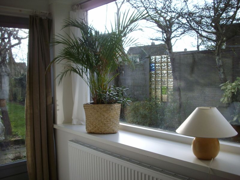 Lichte binnenruimte met uitzicht op tuin in vakantiehuis Plevierstraat 21, De Koog, Texel, op de Waddeneilanden.