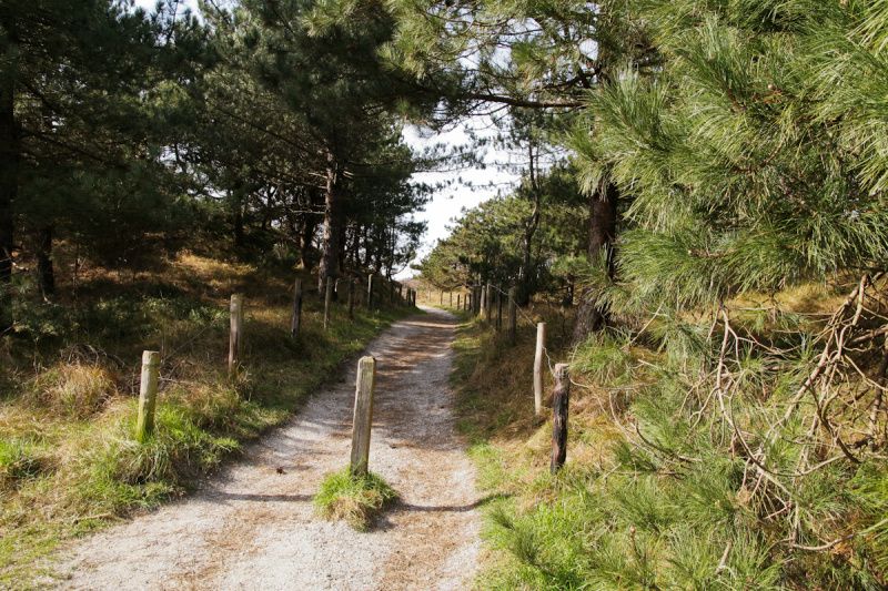 Verblijf 010253 - Vakantiewoning Texel - Stappeland - De Kemphaan