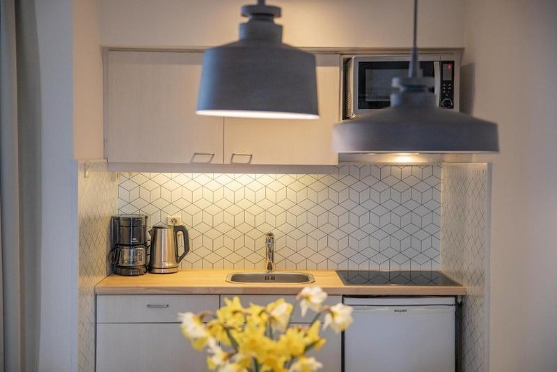 Kompakte Kueche im Appartement fuer 4 Personen, De Koog, Texel, ausgestattet mit modernen Geraeten und stilvoller Verarbeitung.
