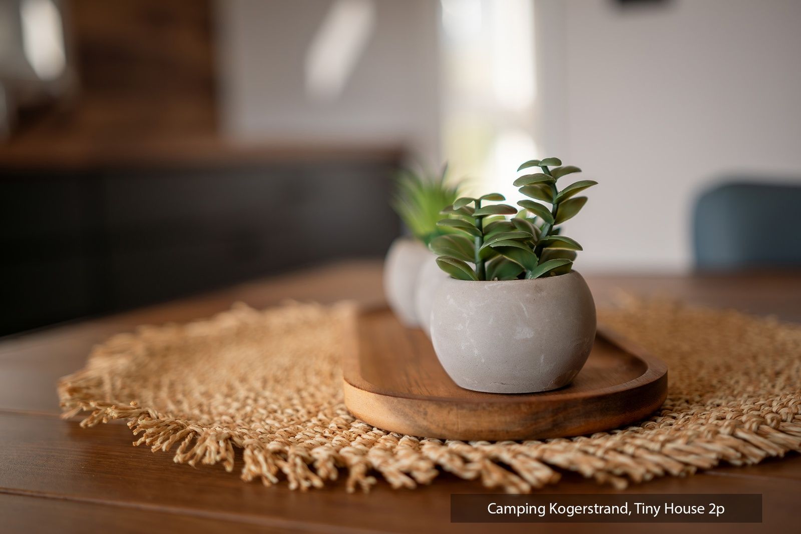 Guest house 010263 - Holiday property Texel - Tiny House