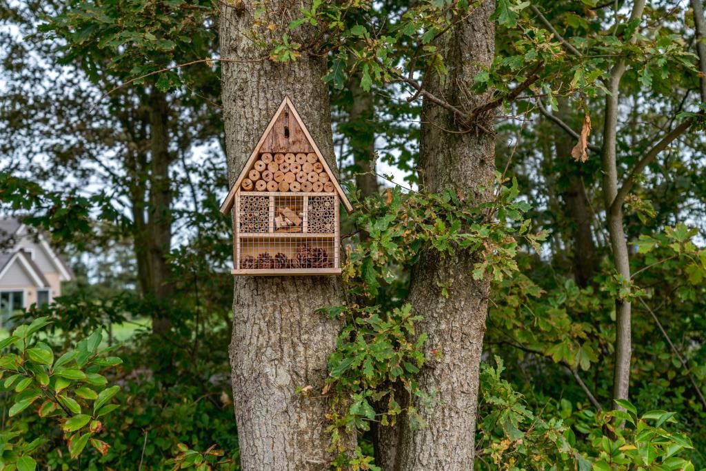 Insectenhotel aan boom in de tuin van 39 - 16B Wulp - BLV, vakantiehuis in De Koog, Texel.