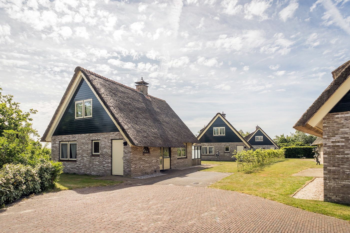 Guest house 0102962 - Holiday property Texel - Bleekerscoogh villa 202