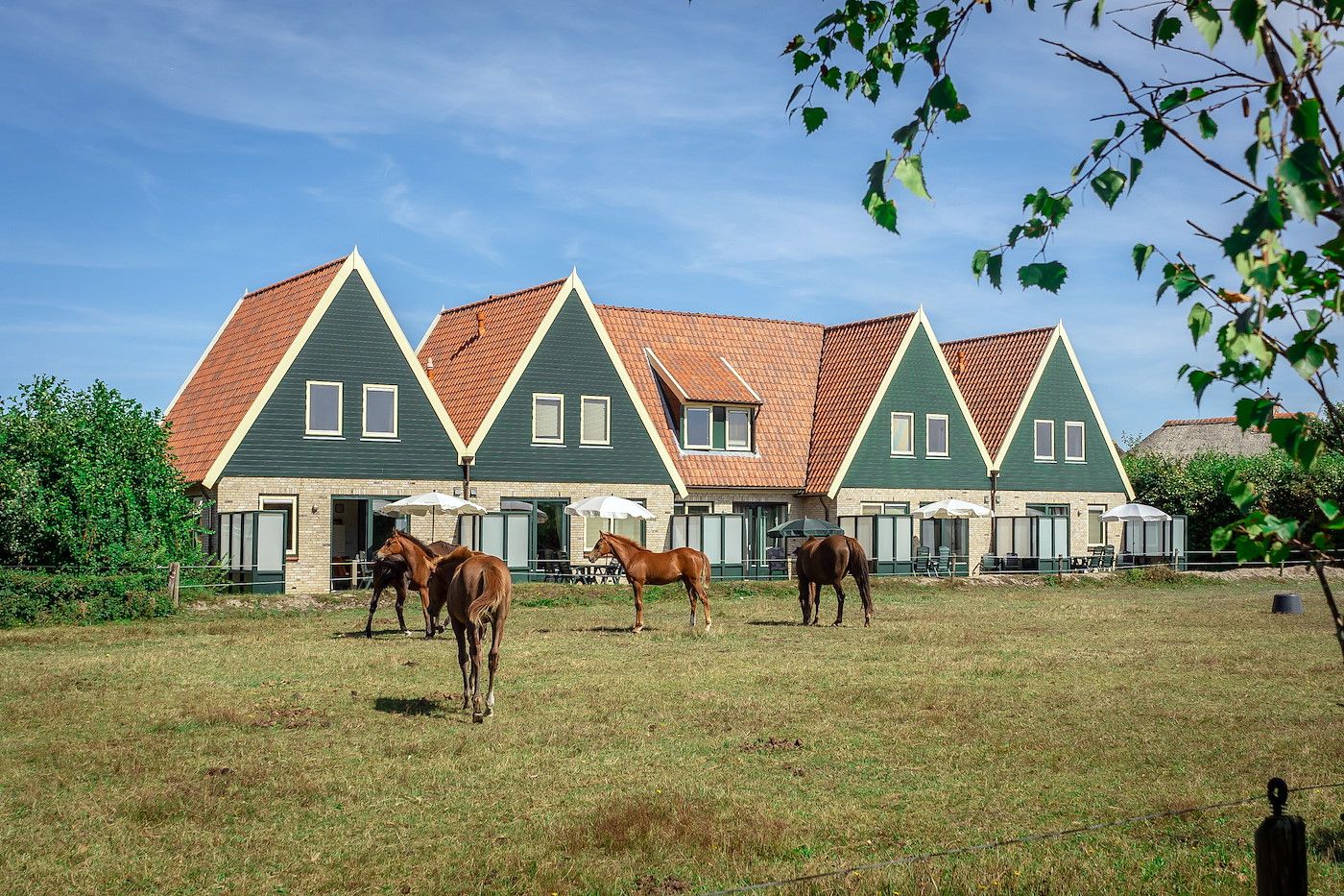 Unterkunft 0102973 - Ferienhaus Texel - Landleven vakantiehuis 83