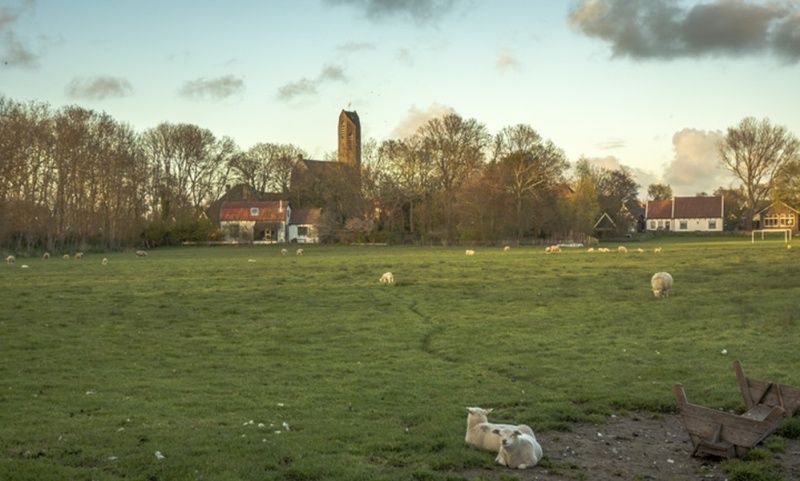 Guest house 010321 - Holiday property Texel - De Kemphaan - Voorhuis