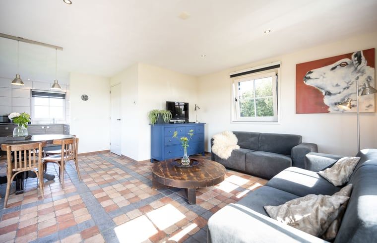 Stylish sitting area in Cottage in De Waal, Texel with spacious arrangement and art on the wall.