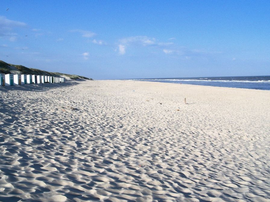 Guest house 010356 - Holiday property Texel - Huisje TOR 10 test