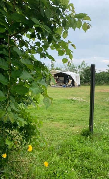 Unterkunft 010375 - Ferienhaus Texel - Camping de Waal
