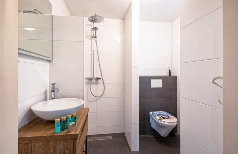 Verblijf 0104140 - Vakantiewoning Texel - Vakantiehuisje in Den Burg