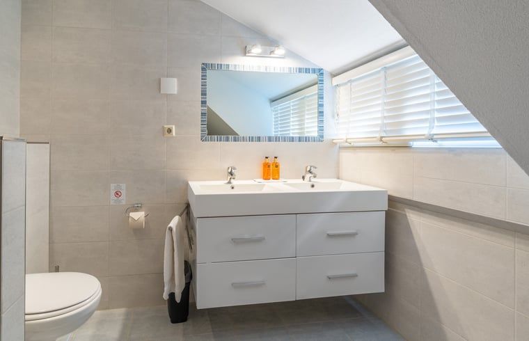 Stijlvolle badkamer in Huisje in Den Burg, Texel met dubbele wastafel en moderne afwerking.