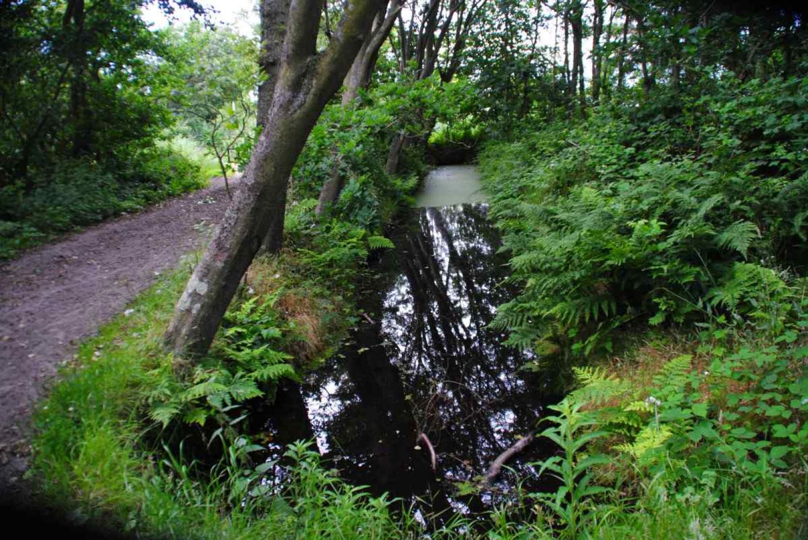 Unterkunft 0104159 - Ferienhaus Texel - NH010