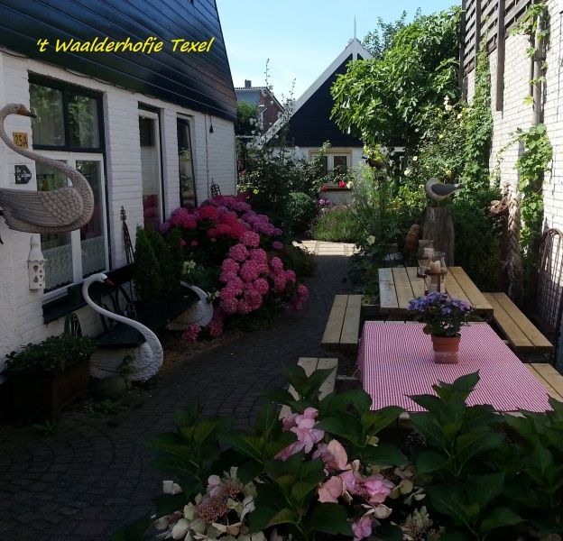 Verblijf 0104214 - Vakantiewoning Texel - B&B 't Waalderhofje - Tweepersoons kamer met boxspringbedden