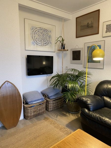 Stilvolle Ecke mit Pflanzen und Kunst in Klif 1 Wohnung 1, Den Hoorn Texel, Ferienhaus.