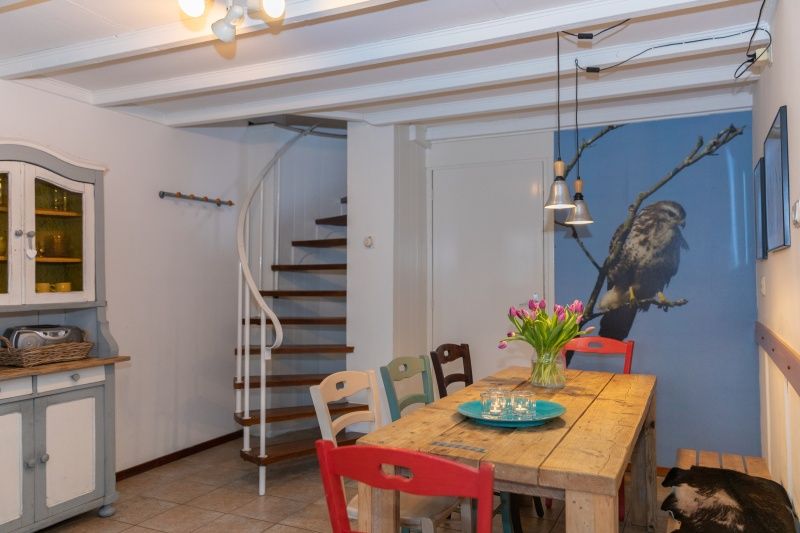 Guest house 010528 - Holiday property Texel - Schaapskooi