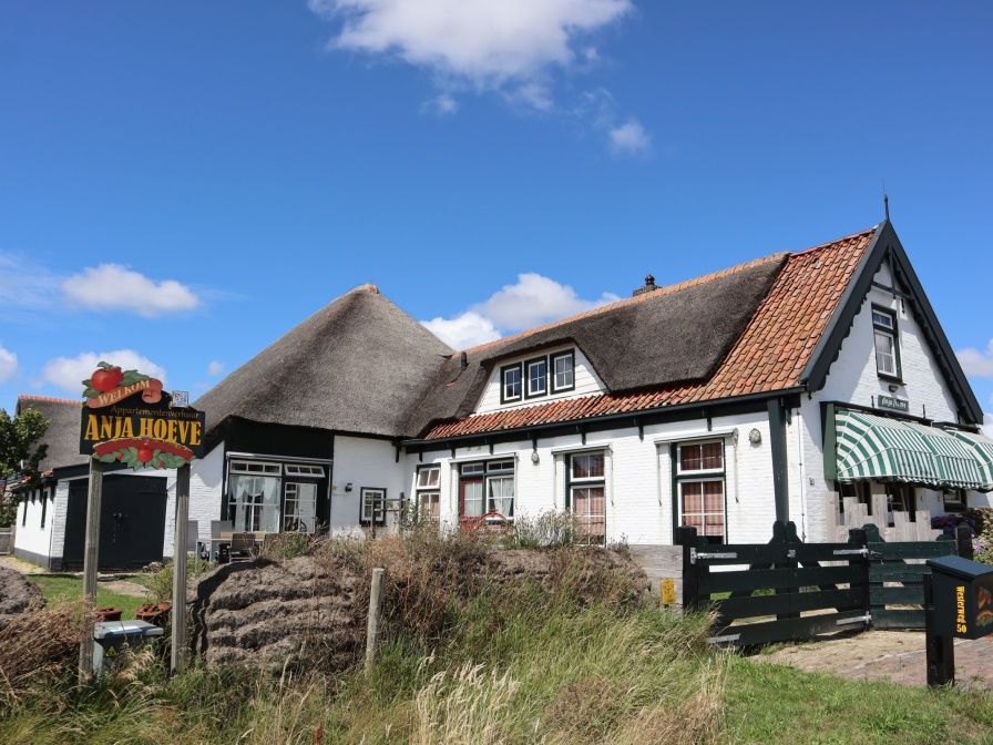 Charmantes Apartment Yellow in Den Hoorn, Texel, in einem traditionellen Bauernhaus mit Reetdach, umgeben von schoener Natur.