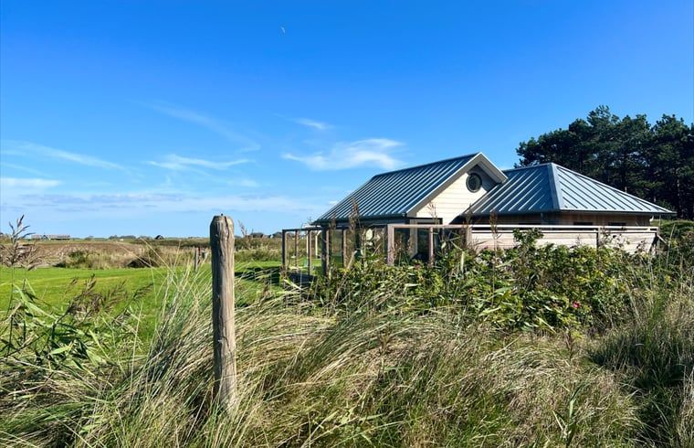 Ferienhaus in Den Hoorn auf Texel, umgeben von ueppiger Natur und gruenen Feldern.