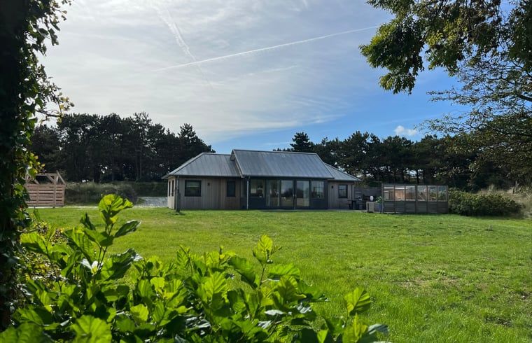Grosser Rasen im Ferienhaus in Den Hoorn, Texel, ideal fuer Aktivitaeten im Freien.
