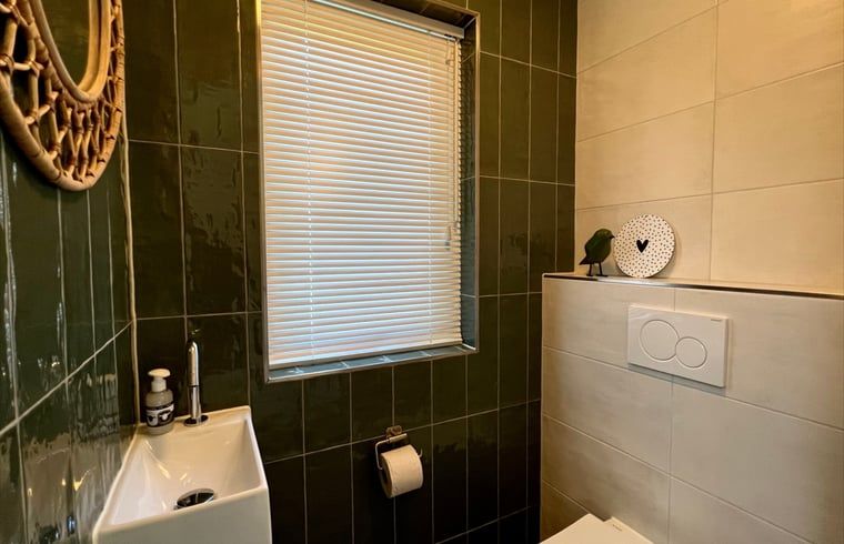 Kompaktes Badezimmer mit Toilette im Ferienhaus in Den Hoorn, Texel.
