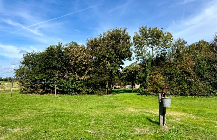 Grosser Rasen umgeben von Baeumen im Ferienhaus in Den Hoorn, Texel.