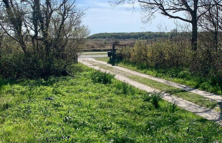 Quiet access road to Cottage in Den Hoorn, vacation home on Texel, surrounded by nature.