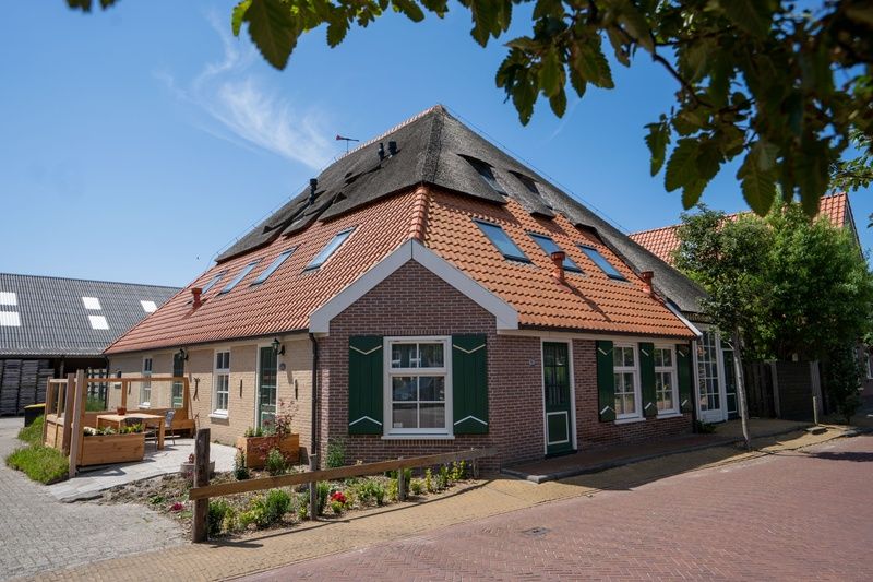 Aussenbereich des Ferienhauses De Dors in Den Hoorn Texel mit sonniger Terrasse und Blumenbeeten.