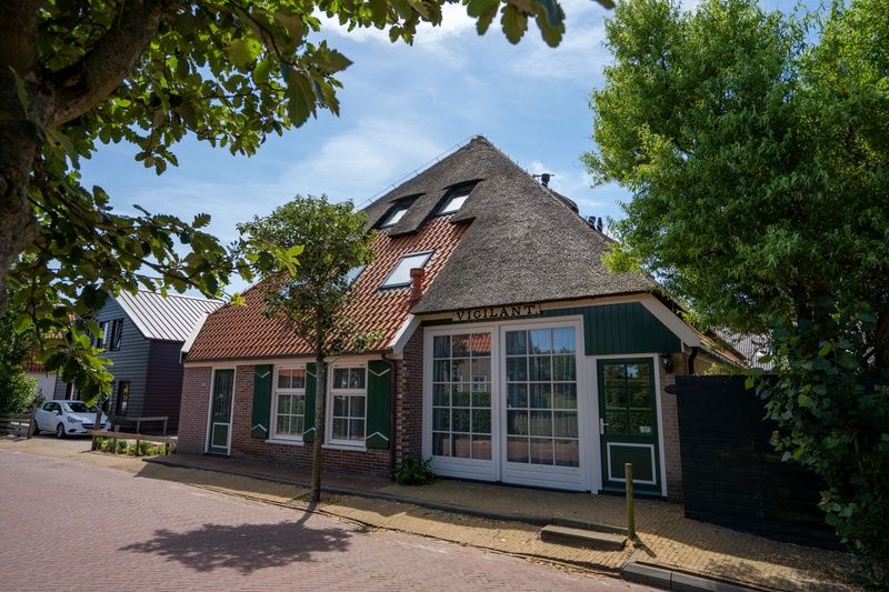 Strassenansicht von De Dors Ferienhaus Den Hoorn Texel mit umliegender Natur.
