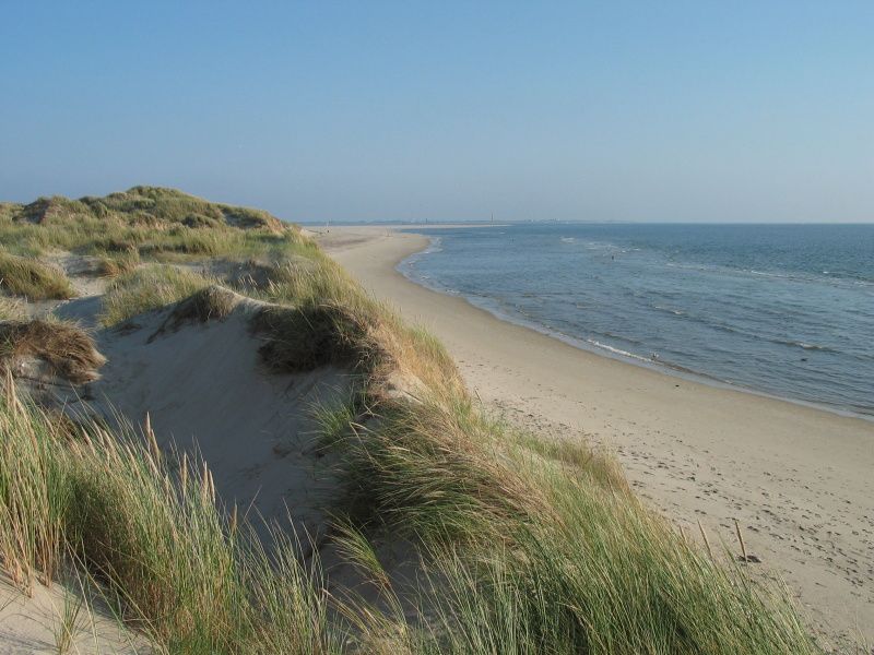 Atemberaubende Strandlandschaft bei Ants Nest Ferienhaus in Den Hoorn Texel