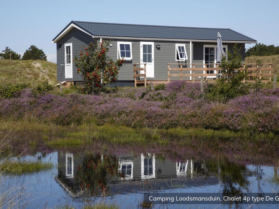Chalet Geul 4p in Den Hoorn Texel with beautiful views of heathland and pond, ideal for nature lovers.