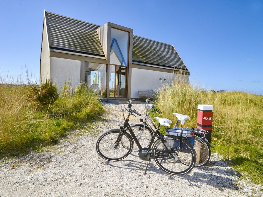 Guest house 010593 - Holiday property Texel - De Waddenhof- Waddenlodge