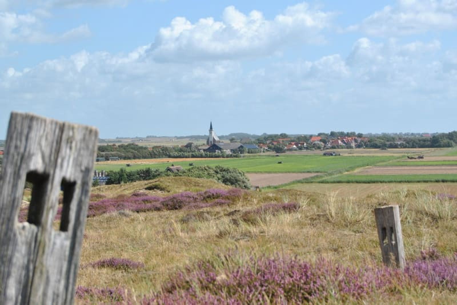 Verblijf 010598 - Tenthuis Texel - Ingerichte Boogtent