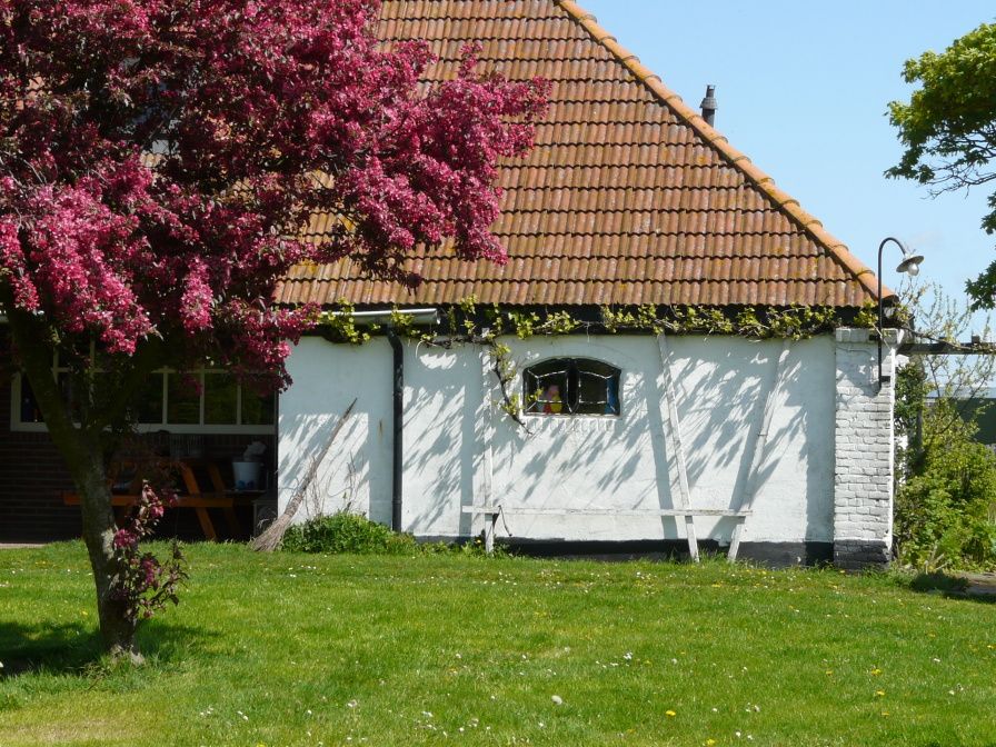 Ferienhaus De Viersprong in Oosterend, Texel mit bluehendem Baum und gruenem Garten auf den Watteninseln.