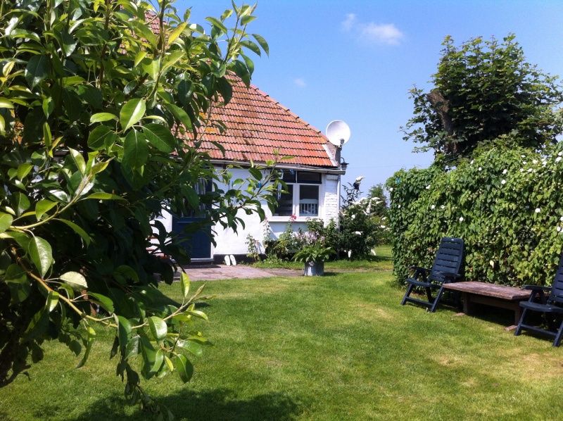 Gemuetlicher Garten des Ferienhauses De Viersprong in Oosterend, Texel mit Terrasse und ueppiger Natur.